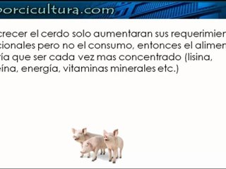 Alimentacion por fases (parte 1)