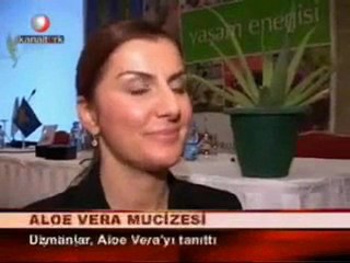 Aloe Vera Hakkında Uzmanların Görüşleri