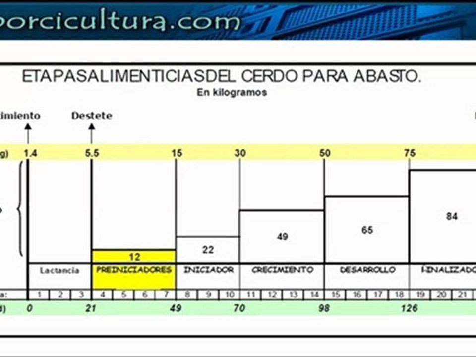 Alimentacion por fases (parte2)