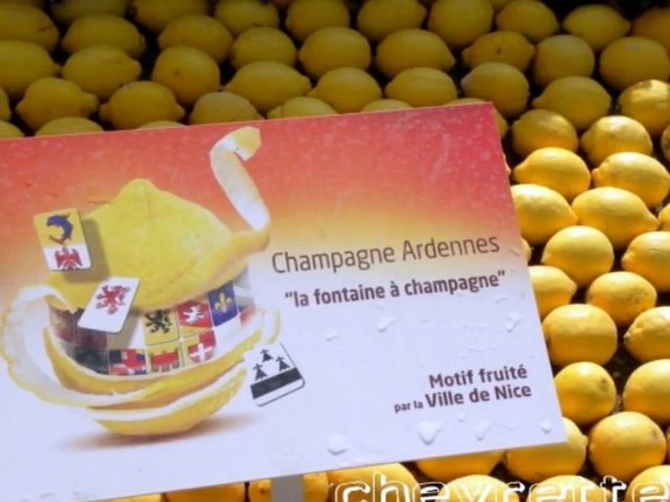 la fête des citrons (2)