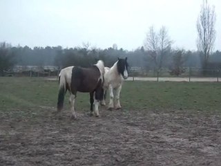 10.03.2012.w.integration