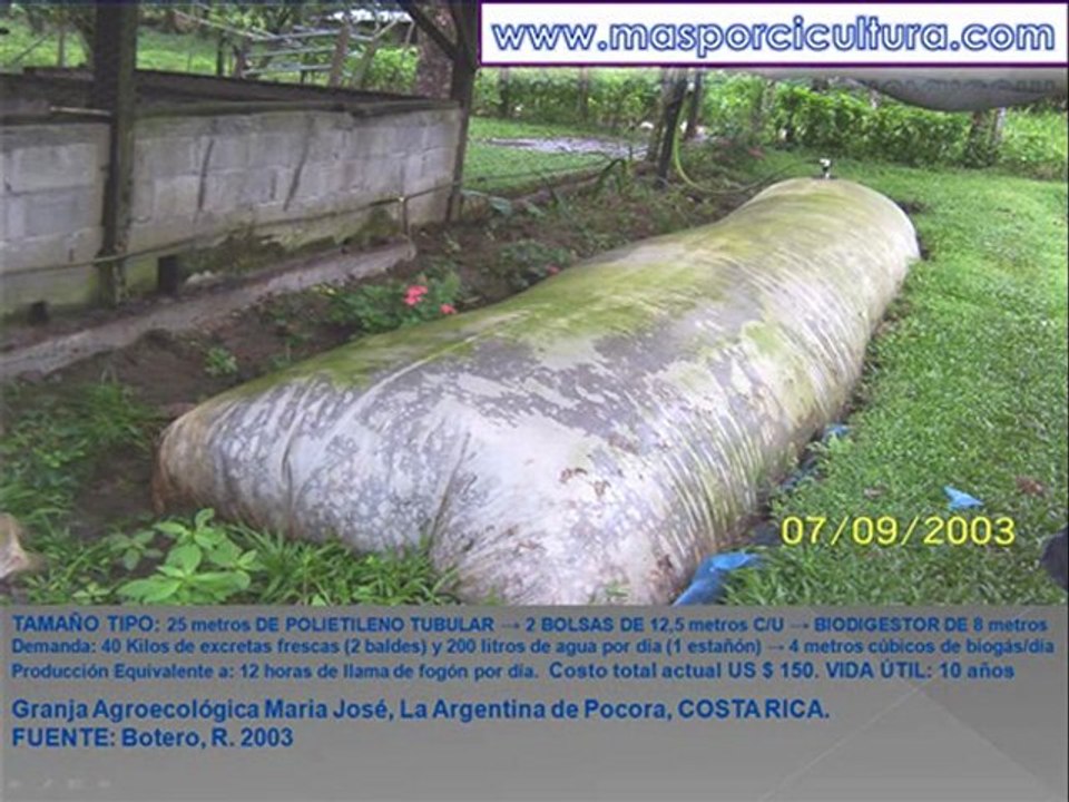 biodigestores