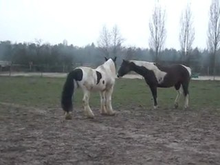 10.03.2012.za.integration