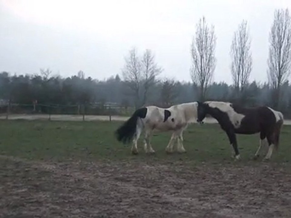 10.03.2012.zb.integration