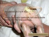 coccidiosis-neonatal-porcina
