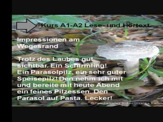 A2-B2 Impressionen am Wegesrand