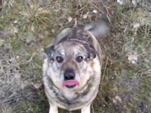 Sentymentalne podsumowanie