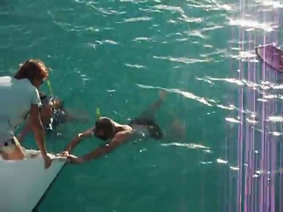 video natation Bora (4)