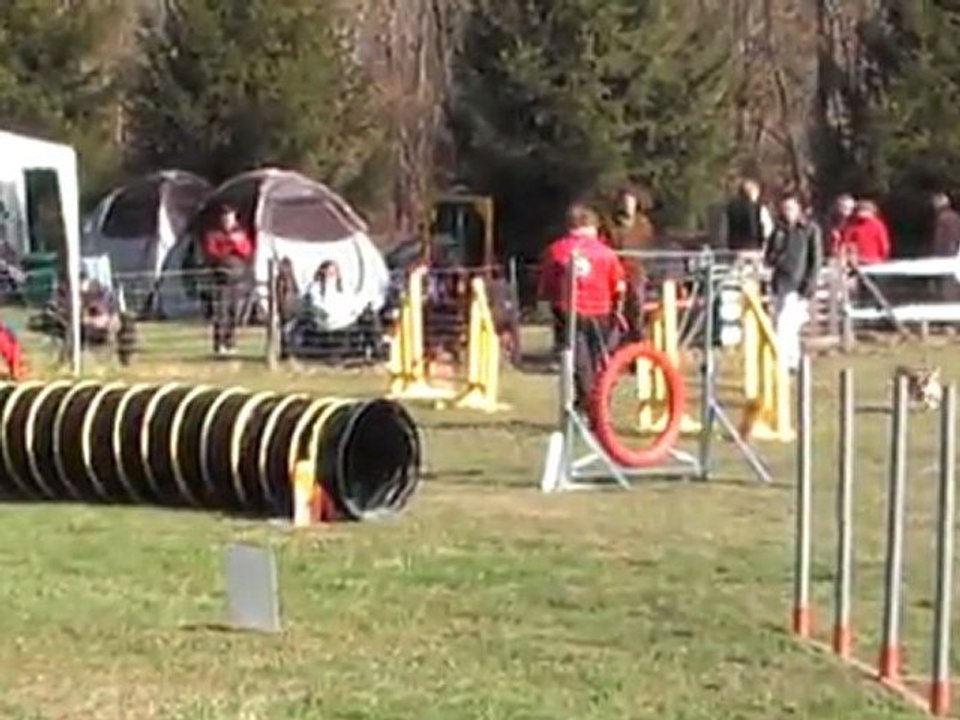 POINTIS DE RIVIERE ARTEMIS OPEN