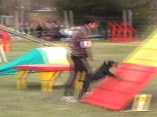 POINTIS DE RIVIERE BRUNETTE 2° DEGRE