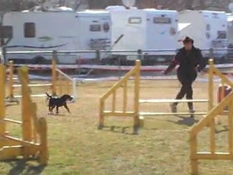 POINTIS DE RIVIERE BRUNETTE JUMPING+