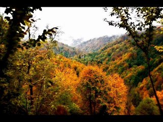 yöremizden slayt-1-2012