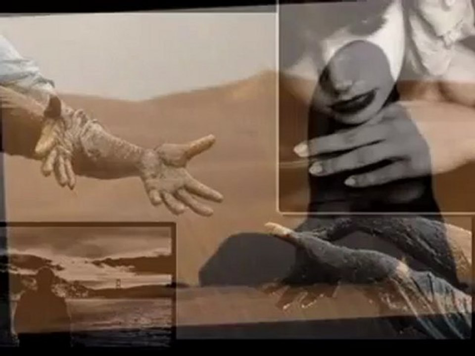 Gece Yarısı - Denizhan ALKAN & Şiir: Dilek SOYSAL