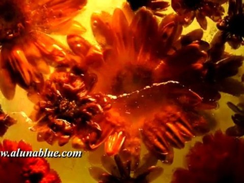 Time Lapse Stock Footage - Stock Video - Time Lapse 04 clip 02