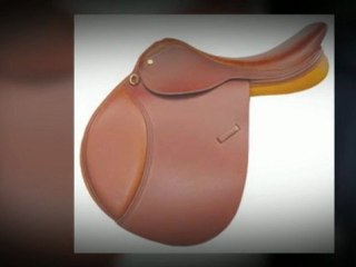 Ride English - Dressage, Jumping or Pleasure