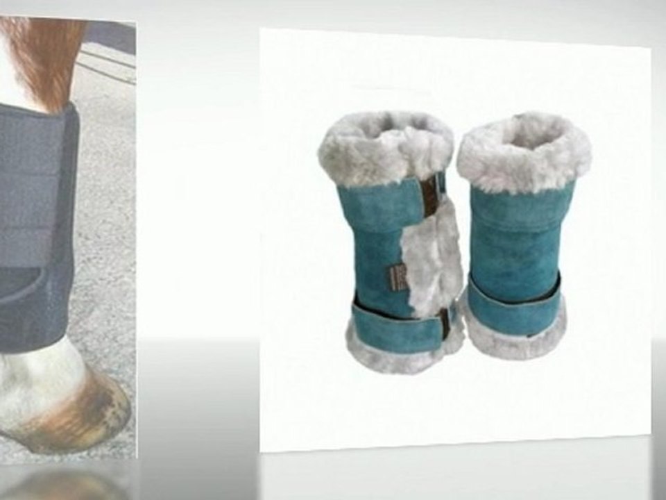 Horse Boots and Leg Protection