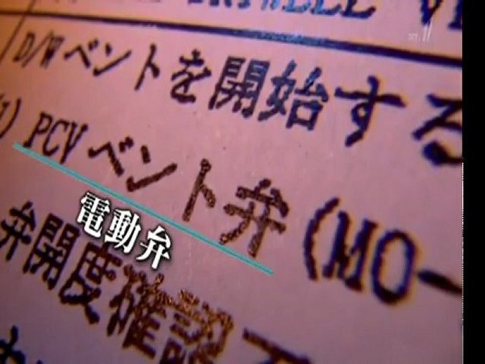 20120310　世界からみた福島原発事故