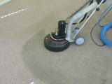 Nampa Boise Carpet Cleaning Orbit Clean 208-4051023 Rotovac 360