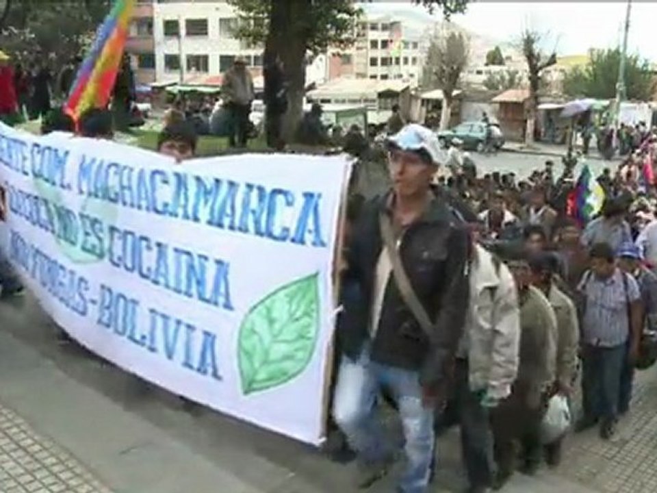 Unidos pela coca