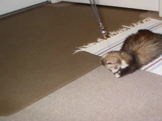 Original Version Adventures of Chinook Part 2