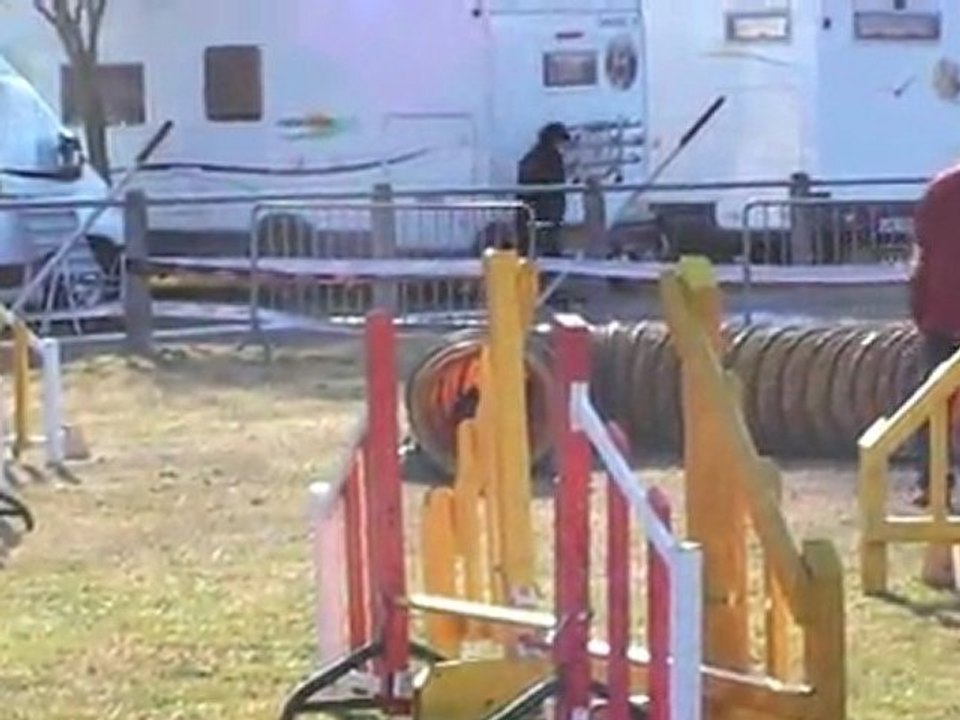 POINTIS DE RIVIERE CHOUIA JUMPING