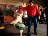 Dog dancing merengue