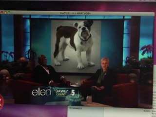 HD HomeRun Dual Tv Tuner