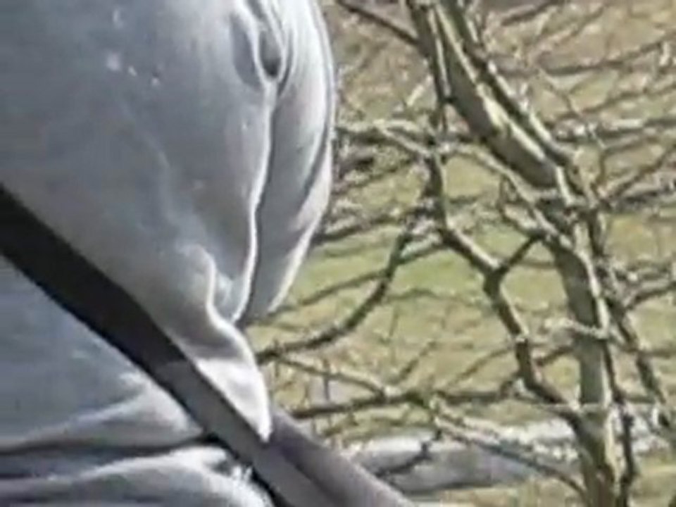 Takin CCE Montayral Club 2 (cross)