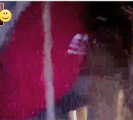 Girl Freaks Out Over Spider During Video Chat