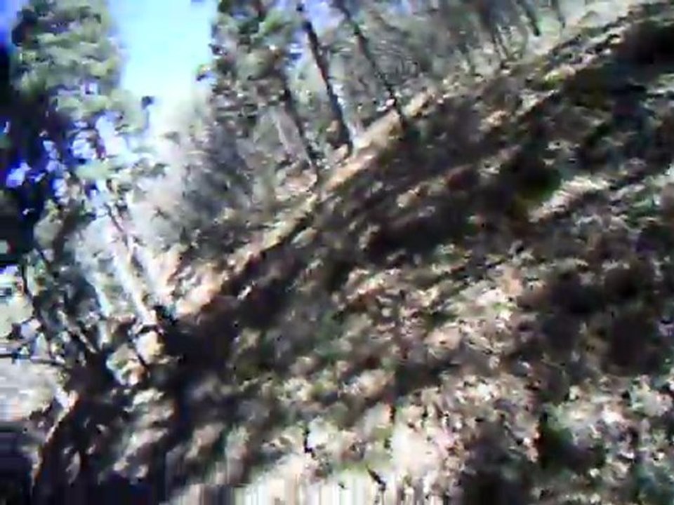 Bajando el Moño 3