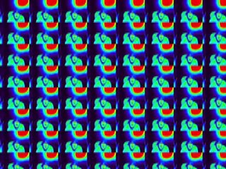 The Dam: Delirio Dal Tramonto All' Alba