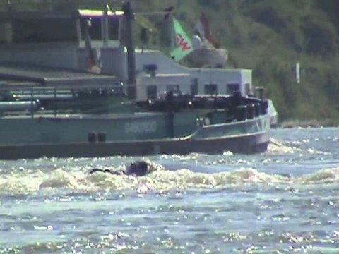 Bingen Bingerbrück Rüdesheim BR143 mit Silberlingen und Rheinschifffahrt