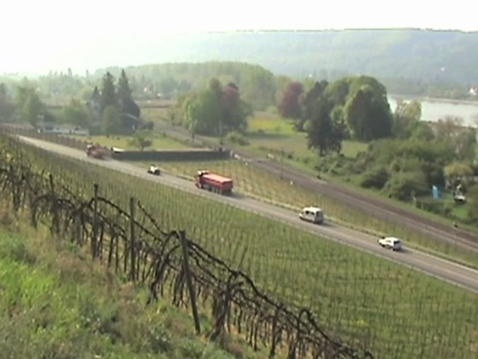 Züge bei Hammerstein, SBB Cargo Re482, Crossrail BR185, DB Schenker BR185, DBAG BR185, BR143, BR425