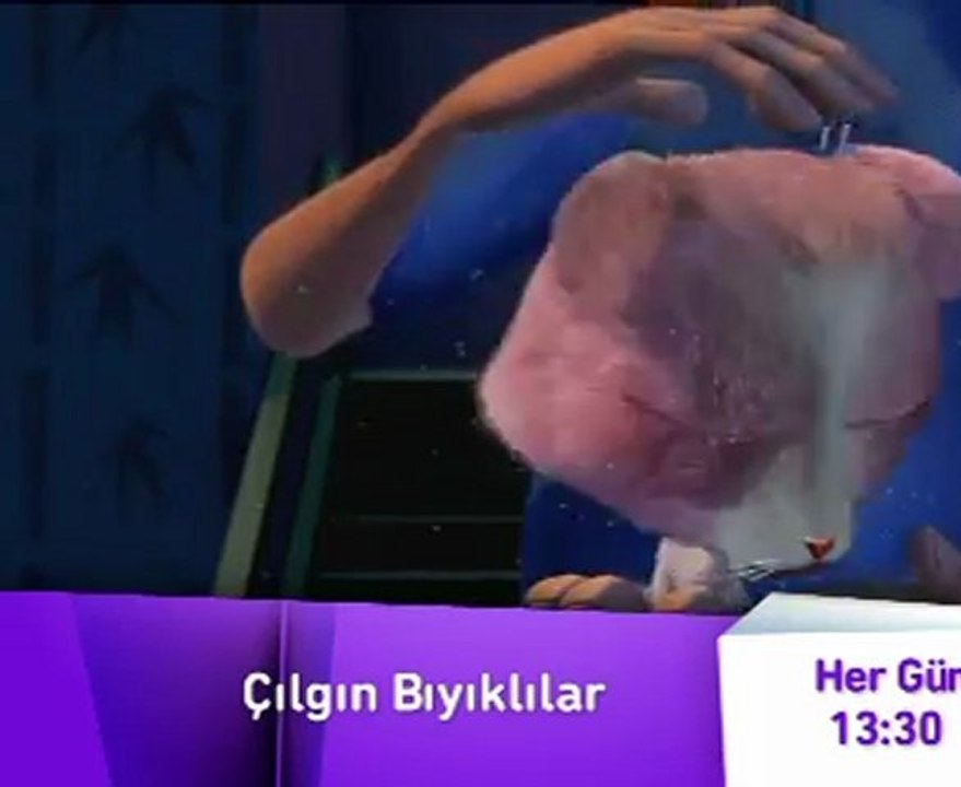 ÇILGIN BIYIKLILAR