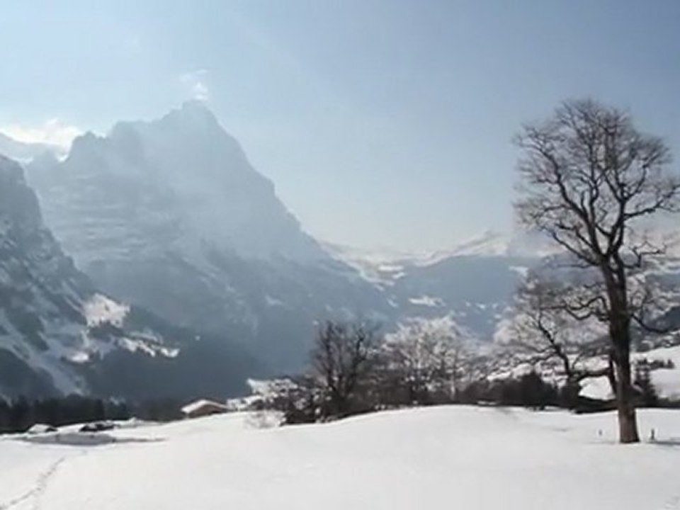 EggWald - Suisse - Mars 2012