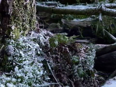 Terres de glace : survivre à l'hiver (partie 1)