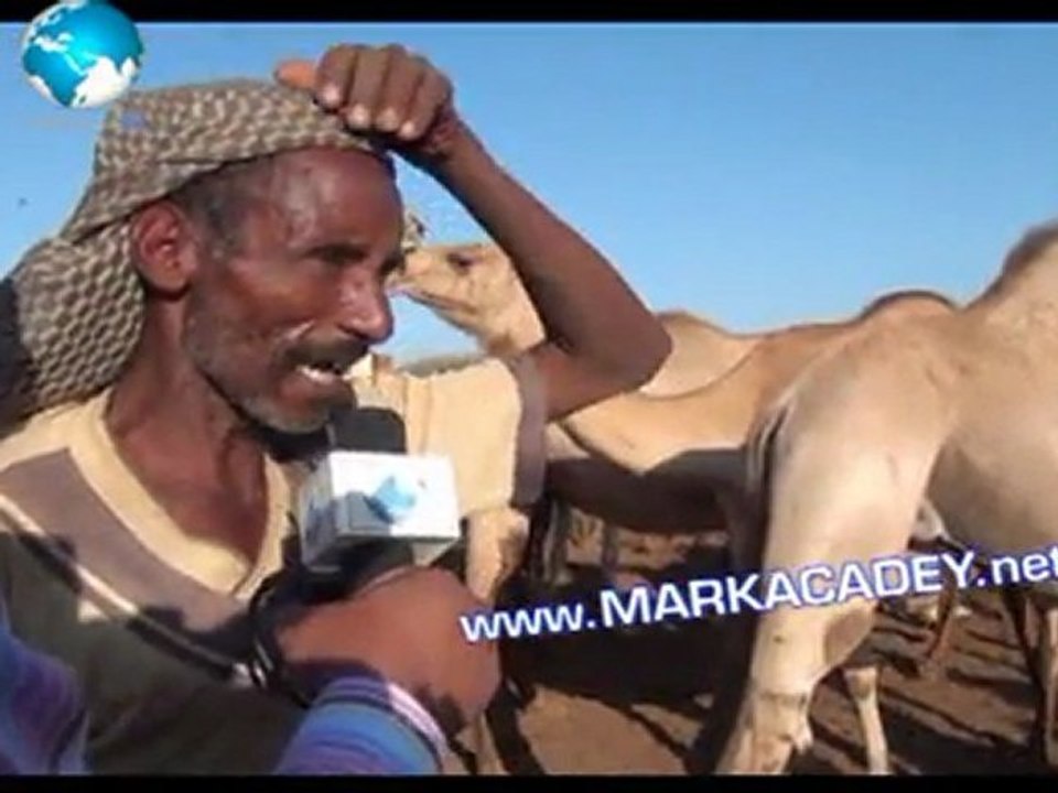 Barnaamijka Hereri Iyo Hargeysa Ee Fardoole - Somaliland