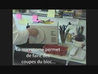 Techniques conventionnelles en anatomo-pathologie