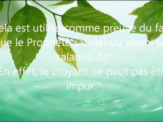 la femme menstruée peut elle toucher le coran?cheikh mouqbil