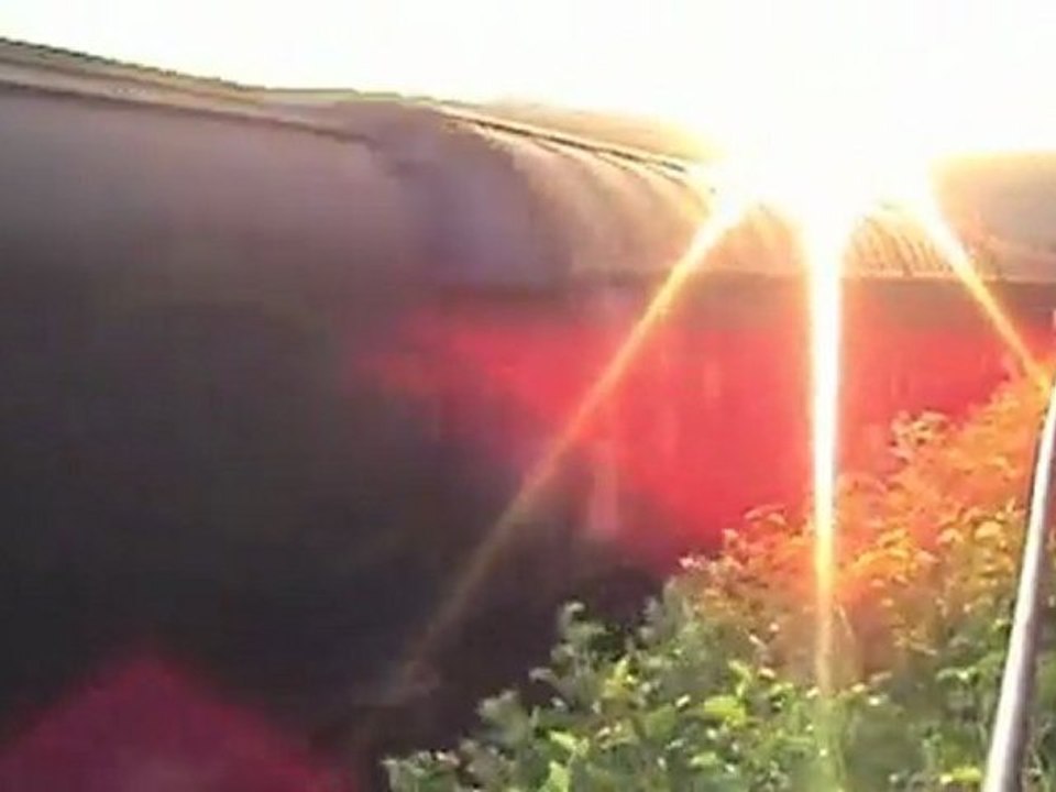 Züge bei Kamp-Bornhofen a. Rhein, Class 66, 3x BR145, BR143