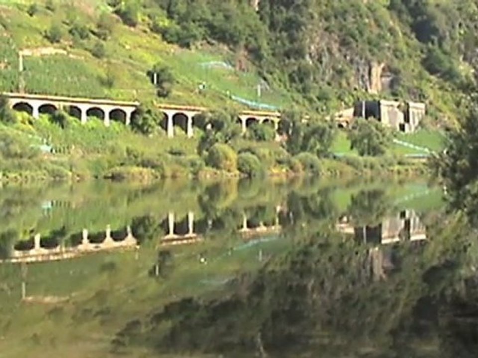 Trains on the viaduct of pünderich beside the river moselle