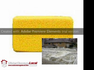 Water Damage Company San Diego