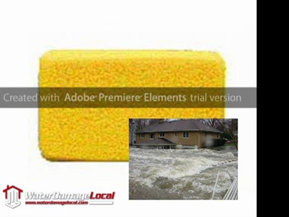 Water Damage Company San Diego