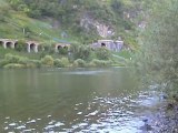 Hangviadukt Pünderich a.d. Mosel, Moselschiffe und Triebwagen