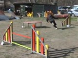 Concours agility Rochemaure Nico at Dakota