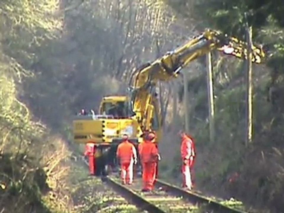 Aufräumungsarbeiten Eifelquerbahn nach Orkan Xynthia Teil 009