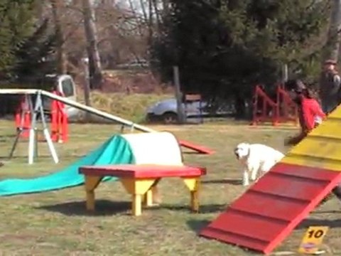 POINTIS DE RIVIERE CERISE 2° DEGRE