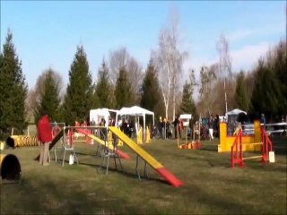 Helene et Diablo Aristochiens 11 mars 2012