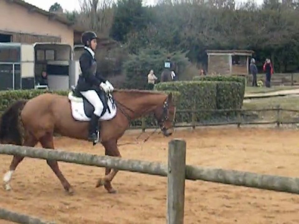 dressage club 2 cornille