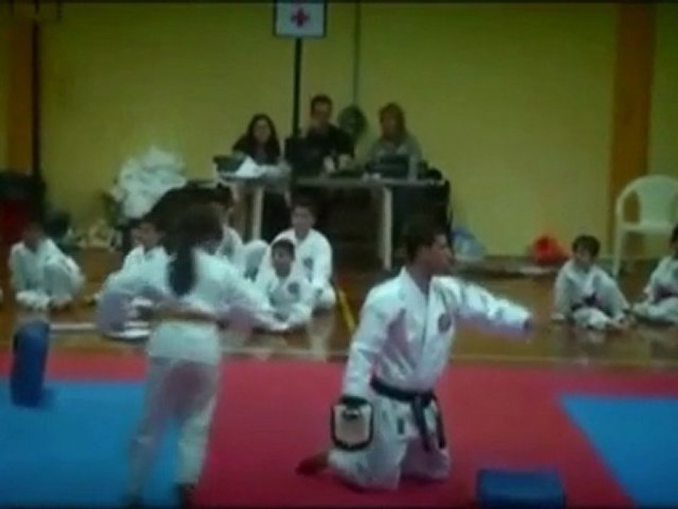 Α.Π.Σ. "Πρωτοπόροι" - Shito Ryu Karate Do